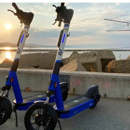 Le Palme Montesilvano Marina