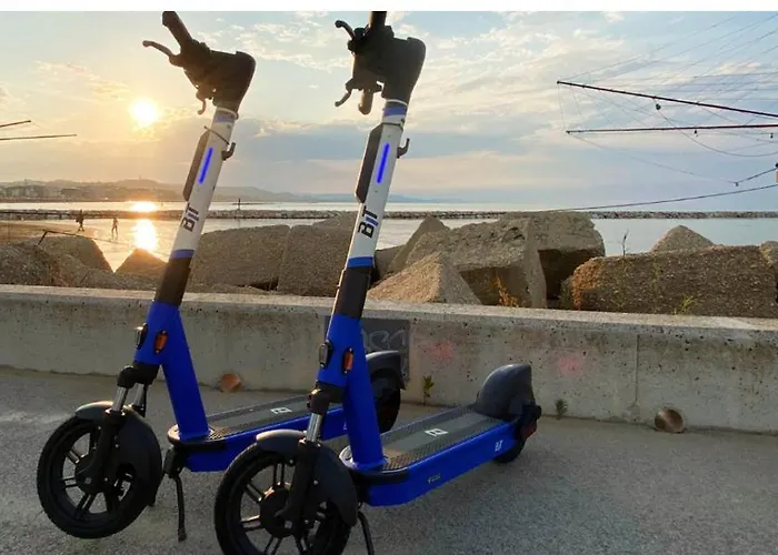 Le Palme Montesilvano Marina