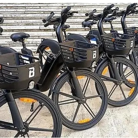 Le Palme * Montesilvano Marina